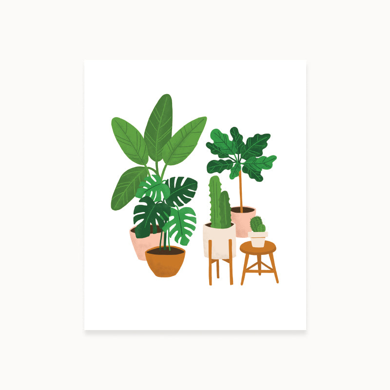 Houseplants Art Print
