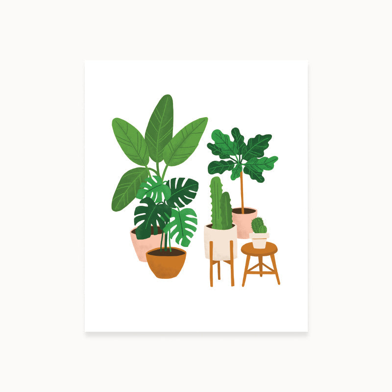 Houseplants Art Print - Wholesale